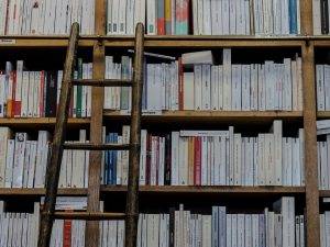 bookshelf and ladder